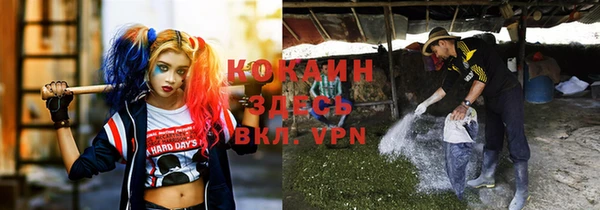 марихуана Абаза