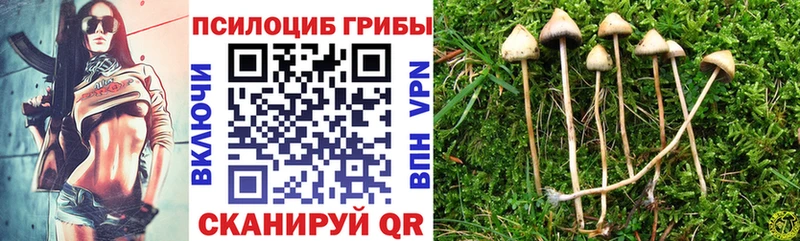 Псилоцибиновые грибы мицелий  Кисловодск 